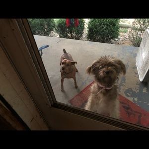 Meet your Posher, Cindy